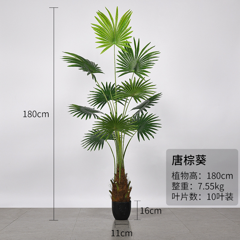 熱帯シミュレーション植物カリフォルニア州蒲葵鉢植え室内着地円葉扇葵偽樹緑植シミュレーション唐ブラウン葵|undefined