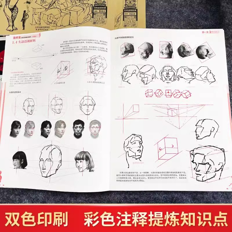 Collector's Edition of Burmann's Human Structure Painting Tutorial Authentic Character Sketching Basic Picture Book Copying Book