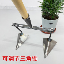 ���{�������_���z�^�ɲ�ж���z�������ֹ��_�����������������r��