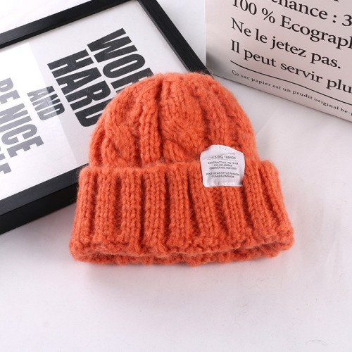 Knit Hat for Women Autumn, Warm and Windproof, Versatile Hooded Hat, Korean Style, Casual and Fashionable, Loose Ear Warm Winter Hat