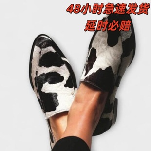 ����������2026�괺���¿�E�A�^40-43���e�͸��͹���ţ�y��ЬŮ