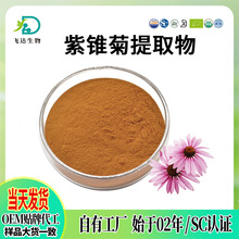 紫锥菊提取物水溶紫锥菊粉紫锥菊多酚多规格紫锥菊菊苣酸2%现货