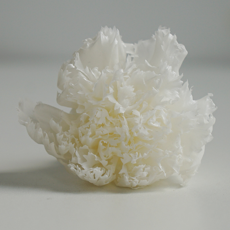 Blanco 3-4cm10 flores/caja