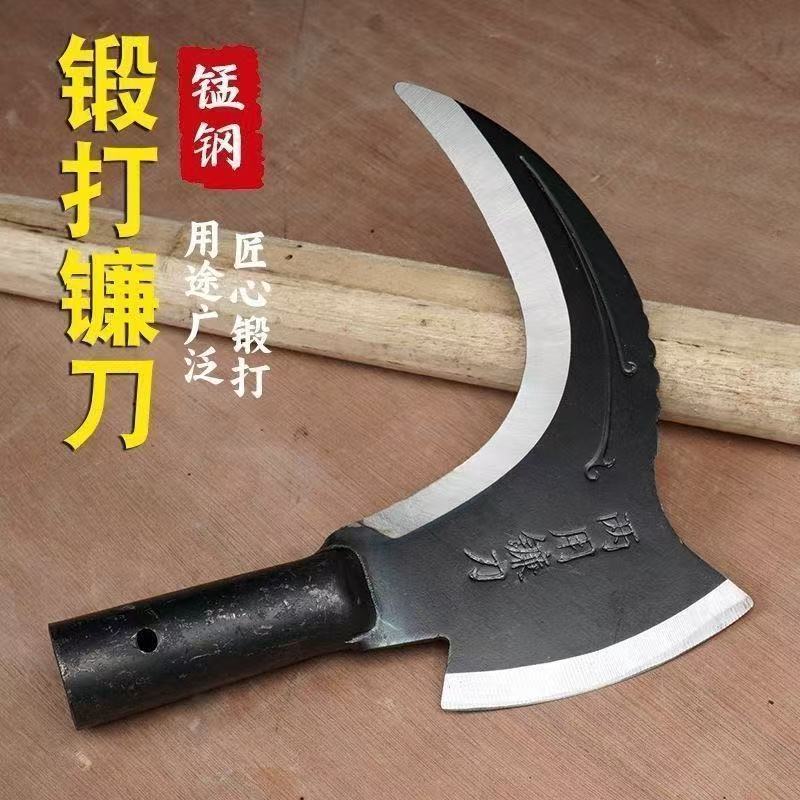 微信图片_20250214092637.jpg
