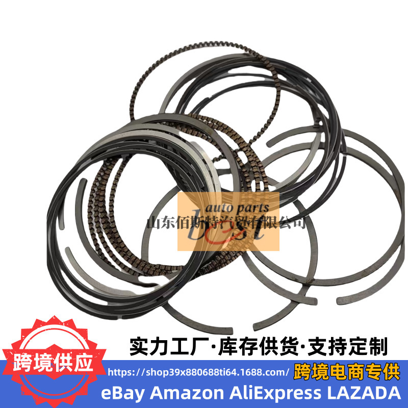 23040-3C910 Engine Ring Kit Piston Ring Set 23040 3C910 for Hyundai Kia