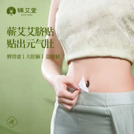 辅艾堂艾草肚脐贴蕲艾草本噗噗丸艾草贴除湿温灸贴懒人艾脐贴批发
