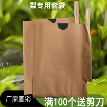 梨套袋 梨子套袋 苹果套袋柠檬鸟袋水果套袋防水防虫