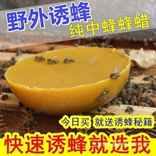 诱蜜蜂中蜂蜡土蜂蜡蜂蜡招蜂水抛光保养意蜂巢诱蜂蜡