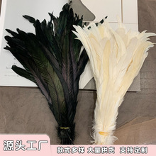 跨境供应20-45cm公鸡尾羽毛黑白雄鸡羽毛DIY工艺品演出服装装饰品