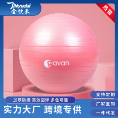 ヨガボールpvc家庭用フィットネススポーツボール厚手防爆ジムボール大ドラゴンボール55 65 75cm