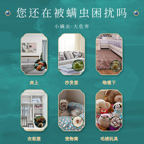 Beijing Tong Ren Tang Dust Mite Removal Pack Plant Extract Suitable for Infants and Pregnant Women Safe Dust Mite Repellent Fast Shipping