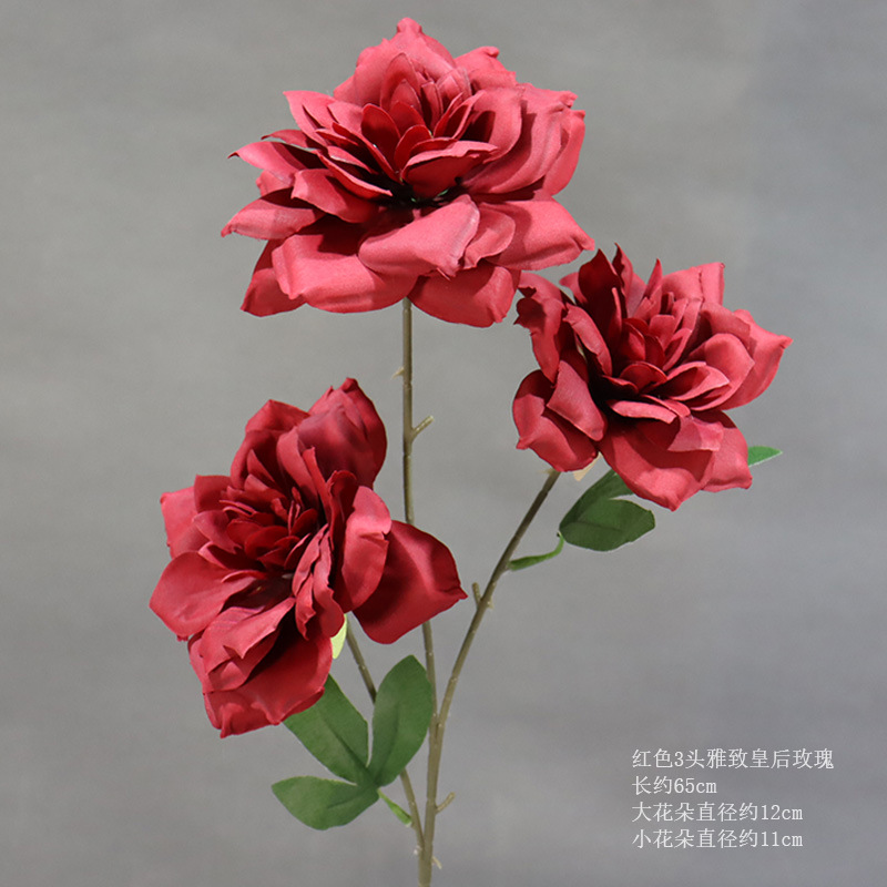 빨간색 3머리 우아한 퀸 로즈