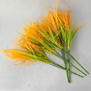 �����S���뵾�ȼٻ��Ҿ��b[�������ݳ�����ˮ���������l��@