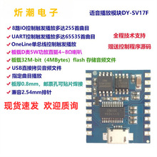 �Z������ģ�K IO�|�l ���ڿ���  USB���dflash �Z��ģ�KDY-SV17F