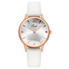 Fashionable watch, quartz watches, glossy belt, internet celebrity, wholesale