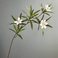 �����֦3D��ӡˮʯ�� �F���Ƶ�Ҿ�ܛ�b�b廨�Gֲ����d�ӻ�