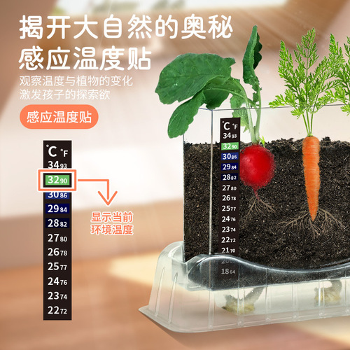 Learn from Yuma plant root observation box to plant seeds and grow scientific experiments handmade toys for children primary and secondary school students