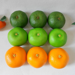 ����������ӎ�֦���ӽ��ɳ�ǽ�ɰ����ï����ˮ��ģ��ˮ����[��