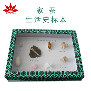 ���Q����ʷ�˱� ���xWУ�̌W�˱����w���� �t�~��Ʒ