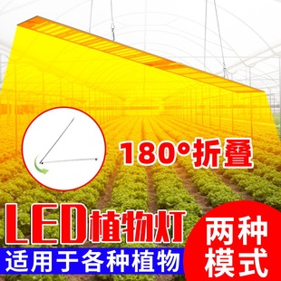Factory wholesale led full spectrum plant lamp household multi-function to promote light growth lamp indoor planting lamp