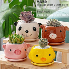���ֶ���ֲ��M���ײ���������ֲ�ﺬ���莧���k��������Gֲ����