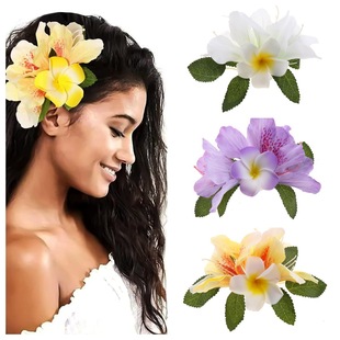 2025�¿���N���^��u�����l�A�ȼٻ����^�����L���۹��L�h���l�