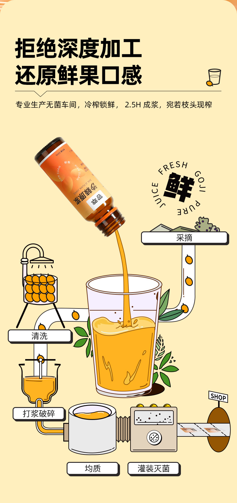 Sea Buckthorn Juice Puree 500ml Gift Box 10 Bottles Ready to Drink Herbal Beverage specifications