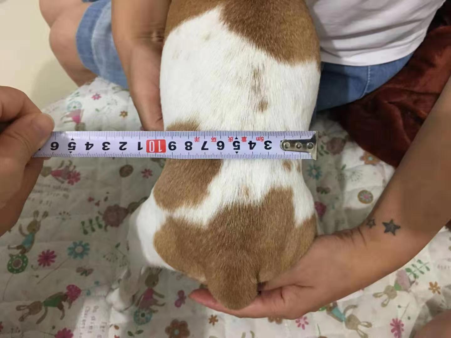 微信图片_20230518115536