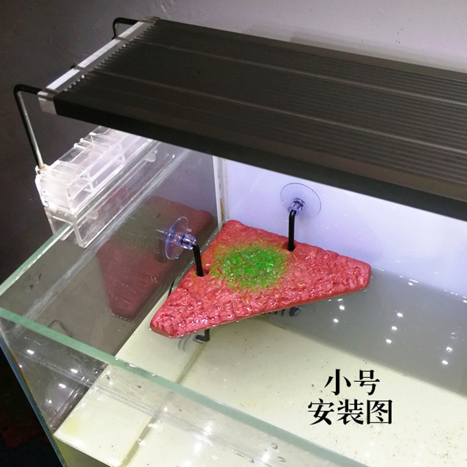 Mascotas trepadoras Tortuga mascota Secadora de espalda Plataforma de rocalla Terraza Pecera Tortuga de agua Escalada de aguas profundas Tortuga Isla flotante Elevación Plataforma flotante triangular