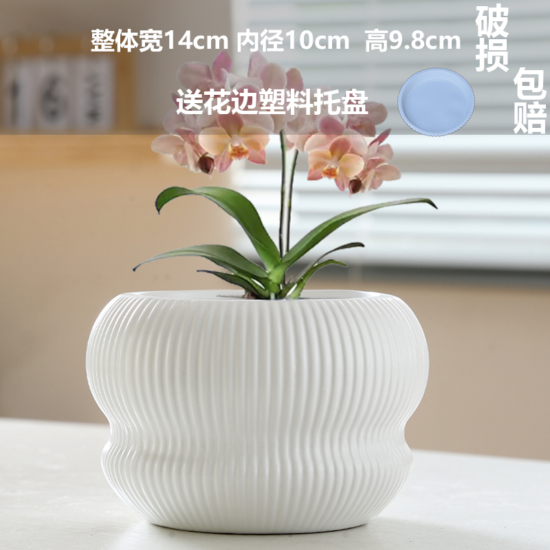 고급 무광 흰색 풍요의 뿔(트레이 포함)