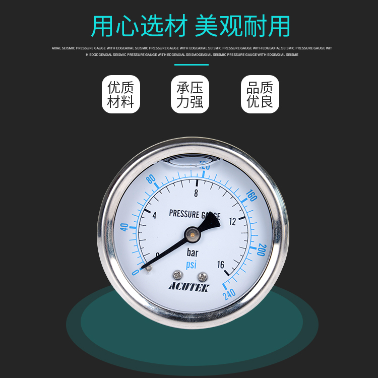 轴向耐震压力表  原装出口 YN60Z 16bar G1/4B防震压力表