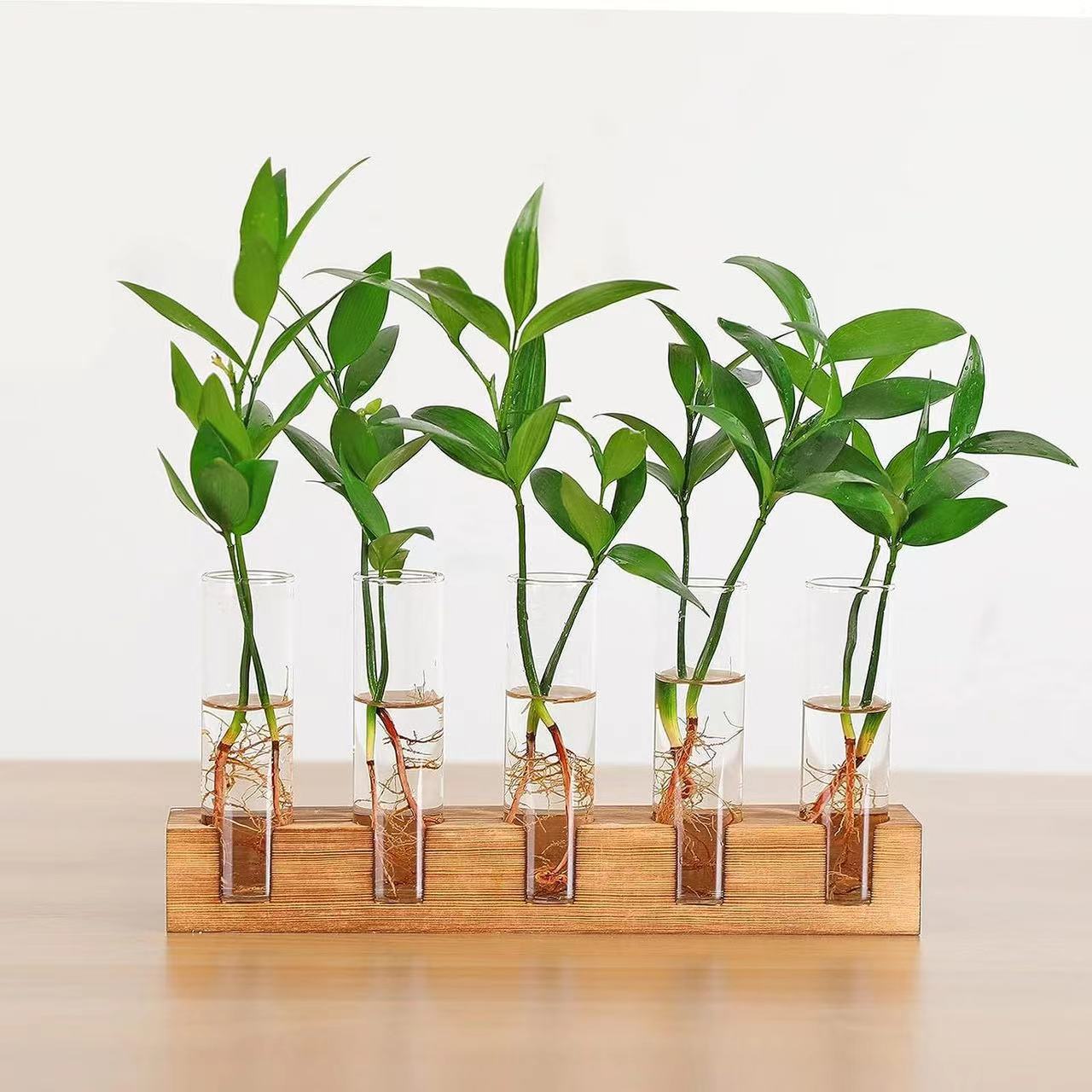 木架家居水培植物支架木质创意水培花瓶木架桌面传播站玻璃试管