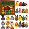 Duck Story