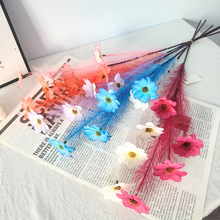 ̫ꖻ���ɣ���JȔ���滨 ��Y�Ҿӿ͏d����bٻ�������ꐽ���