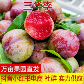 其他水果;梨;番薯类