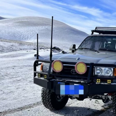 vehicle antenna, Antenna Flagpole