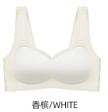 Ventas directas de fábrica comercio electrónico transfronterizo Sudeste de Asia Vietnam Tailandia damas delgadas y cómodas sujetador de colección lateral alto