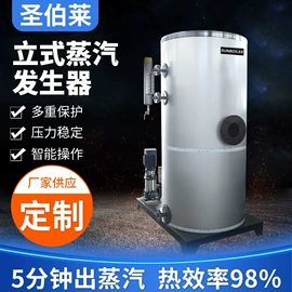 蒸汽发生器;燃生物质锅炉;锅炉配附件