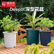 爱丽思deepot盆家用青山盆树脂加仑盆月季兰花玫瑰爱丽思塑料花盆