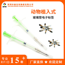 rfid射频植入式宠物电子芯片玻璃管注射动物标签超高频智能追踪