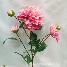 出口货源5头长枝大丽菊仿真花 天竺牡丹绢布丝花 婚庆装饰大丽花