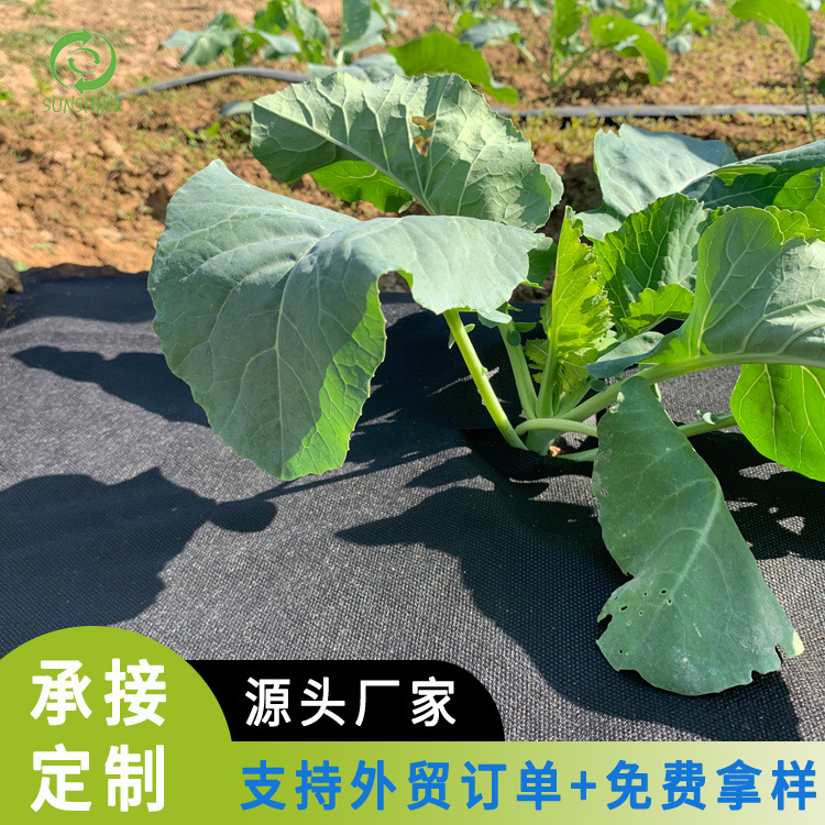 农业除草布除草无纺布防虫农业除草纺黏无纺布