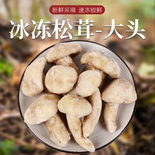 云南特产新鲜冰冻松茸1000g松茸食用菌子香格里拉松茸鲜一件代发