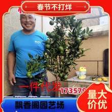 һ�����l�����l؛�����Ә���ɰ�������Ե����ϱ����Nֲ�o��ɳ�ǽ�