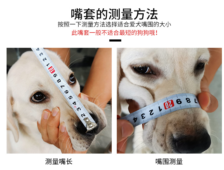 狗嘴套_06.jpg