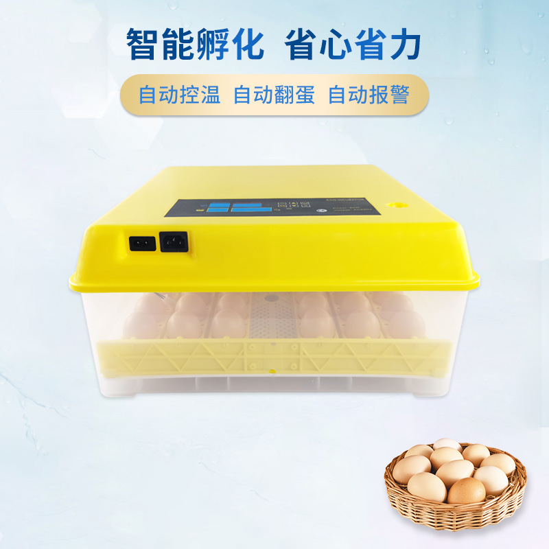 Incubadora automática de 48 huevos, incubadora doméstica inteligente de doble fuente de alimentación, pequeño equipo de incubación de cría de pollos nativos