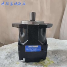 清仓处理现货替代M4SC-055-3N00-A502DENISON丹尼逊压铸机马达