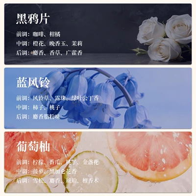 Car Perfume Aromatherapy Ledao Firefly Ceramic White Stick - black-opium-bluebell-grapefruit
