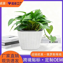 花盆容器;花盆装饰;园艺灌溉工具