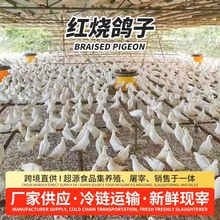 �������r�F���t�����Ӳ���Ƶꌣ�����r�������r�l؛�r��ɢ�B